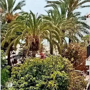 Lägenhet Old Town, Estepona